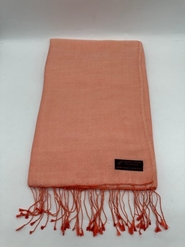 Handmade Peach Water Pashmina Shawl