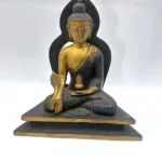 Aureole Medicine Buddha Statue