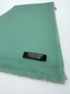 Pastel Green Shaded Pashmina Stole