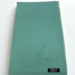 Pastel Green Shaded Pashmina Stole