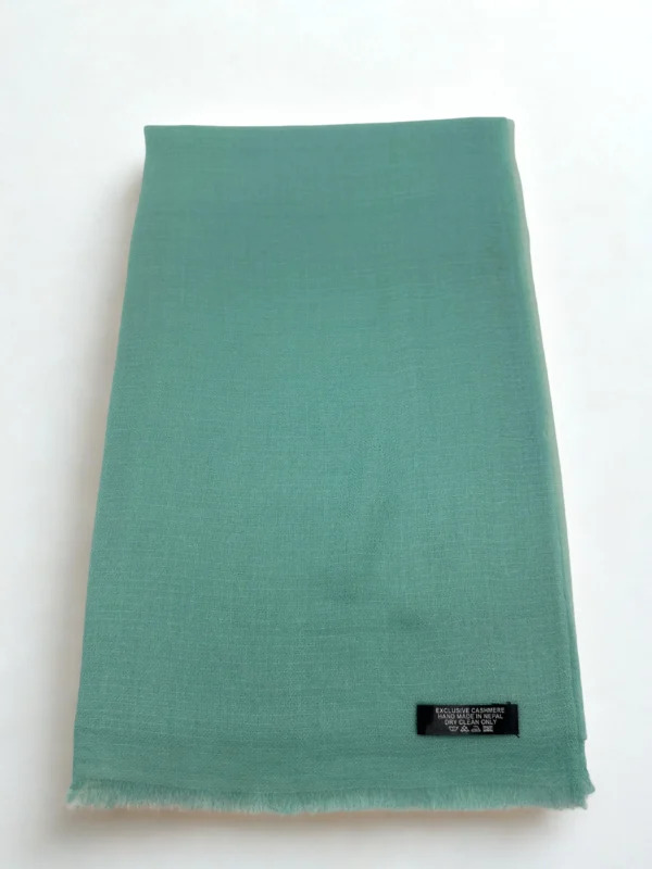 Pastel Green Shaded Pashmina Stole