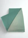 Pastel Green Shaded Pashmina Stole