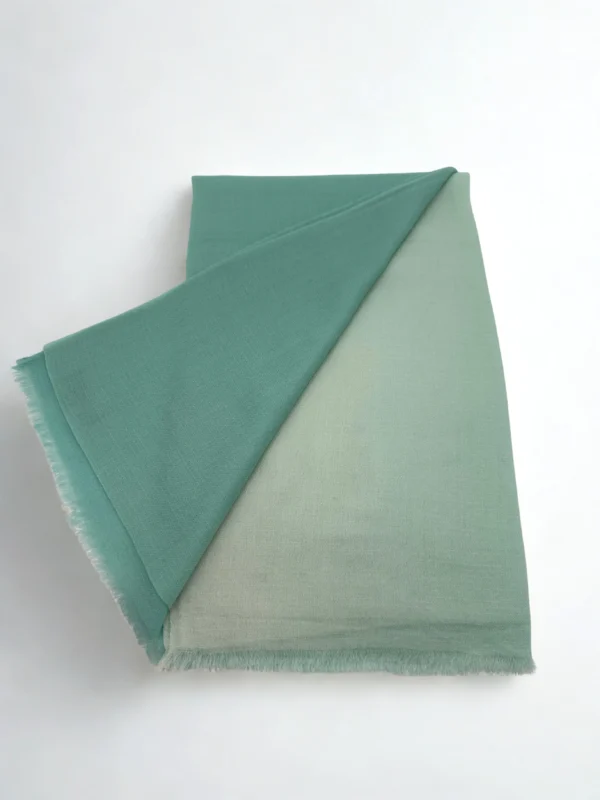 Pastel Green Shaded Pashmina Stole